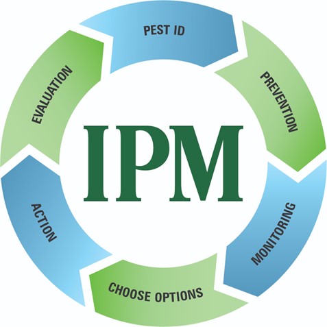 IPM